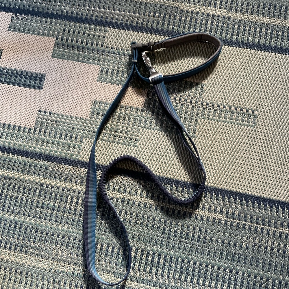 Ruffwear Orion blue Roamer leash